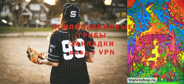 стафф Арсеньев