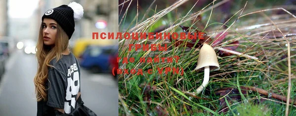 стафф Арсеньев