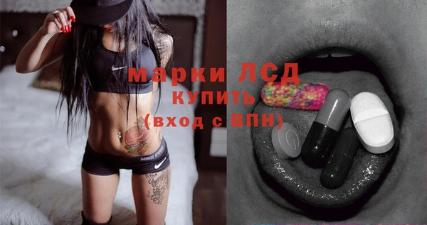 стафф Арсеньев